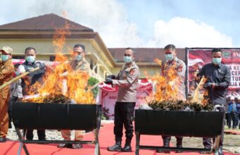 Tegakkan Hukum Profesional, Kapolda Sumsel Ungkap Perkembangan Kasus Ladang Ganja Empat Lawang