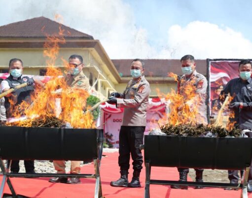 Tegakkan Hukum Profesional, Kapolda Sumsel Ungkap Perkembangan Kasus Ladang Ganja Empat Lawang