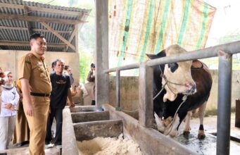 Pemkot Palembang Jamin Stok Sembako Aman Hingga Akhir Tahun dan Perketat Kesehatan Hewan Kurban