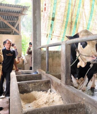 Pemkot Palembang Jamin Stok Sembako Aman Hingga Akhir Tahun dan Perketat Kesehatan Hewan Kurban