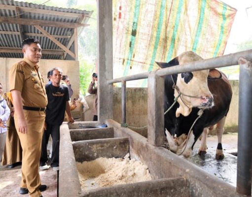Pemkot Palembang Jamin Stok Sembako Aman Hingga Akhir Tahun dan Perketat Kesehatan Hewan Kurban