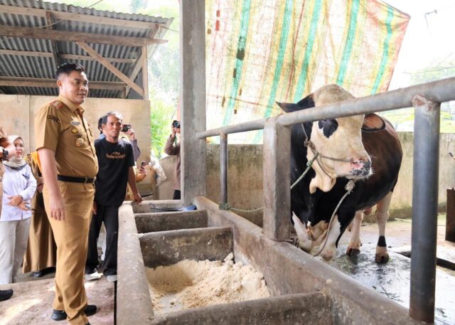 Pemkot Palembang Jamin Stok Sembako Aman Hingga Akhir Tahun dan Perketat Kesehatan Hewan Kurban