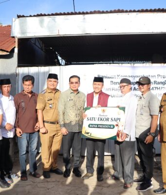 Ratu Dewa antarkan sapi kurban Presiden RI disambut Riuh warga SU 1