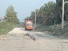 Proyek Jalan Simpang Raja PALI Ditinggal Pemborong, Herman Deru Harusnya Malu