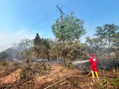 17 kali terjun padamkan api, ,Pertamina EP Ramba Field Jadi Garda Terdepan Lawan Karhutla di Muba dan Banyuasin