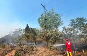 17 kali terjun padamkan api, ,Pertamina EP Ramba Field Jadi Garda Terdepan Lawan Karhutla di Muba dan Banyuasin