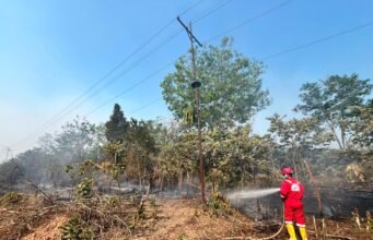 17 kali terjun padamkan api, ,Pertamina EP Ramba Field Jadi Garda Terdepan Lawan Karhutla di Muba dan Banyuasin