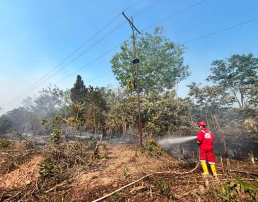 17 kali terjun padamkan api, ,Pertamina EP Ramba Field Jadi Garda Terdepan Lawan Karhutla di Muba dan Banyuasin
