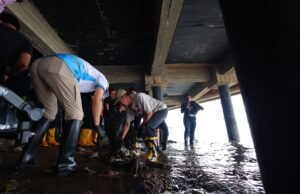 Ratu Dewa Pimpin Aksi Bersih Sungai Musi, 700 Relawan Turun ke Kawasan 7 Ulu