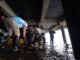 Ratu Dewa Pimpin Aksi Bersih Sungai Musi, 700 Relawan Turun ke Kawasan 7 Ulu