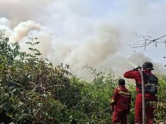 Menhut Raja Juli Tinjau Karhutla SM Padang Sugihan, Kolaborasi Multipihak Perkuat Pemadaman