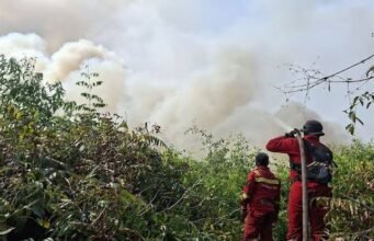 Menhut Raja Juli Tinjau Karhutla SM Padang Sugihan, Kolaborasi Multipihak Perkuat Pemadaman