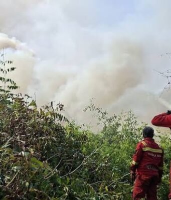 Menhut Raja Juli Tinjau Karhutla SM Padang Sugihan, Kolaborasi Multipihak Perkuat Pemadaman