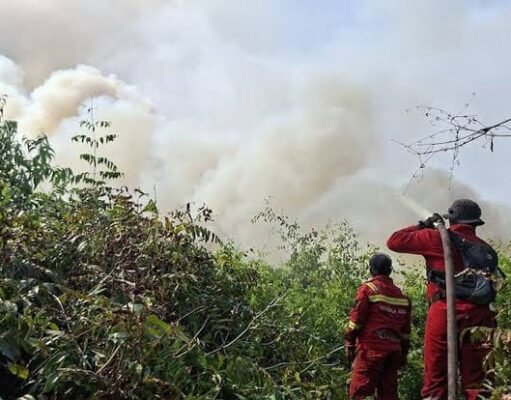 Menhut Raja Juli Tinjau Karhutla SM Padang Sugihan, Kolaborasi Multipihak Perkuat Pemadaman