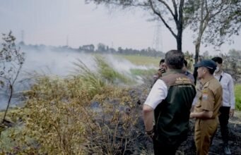 Turun ke Lahan Gambut yang Membara, Gubernur Herman Deru dan Wali Kota Ratu Dewa Perkuat Perang Melawan Karhutla di Kertapati