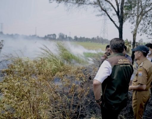 Turun ke Lahan Gambut yang Membara, Gubernur Herman Deru dan Wali Kota Ratu Dewa Perkuat Perang Melawan Karhutla di Kertapati