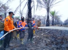 Bupati Muba Turun ke Muara Medak, Petugas dan Warga Bersatu Padamkan Karhutla